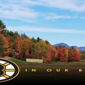 Meet your Posher, Ellen